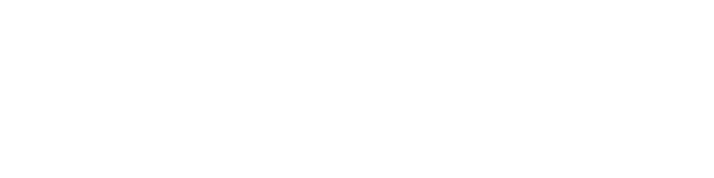 Trustify Logo White